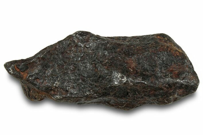Canyon Diablo Iron Meteorite ( g) - Arizona #319574